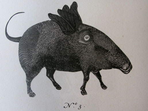 fat magazine illustrations 4